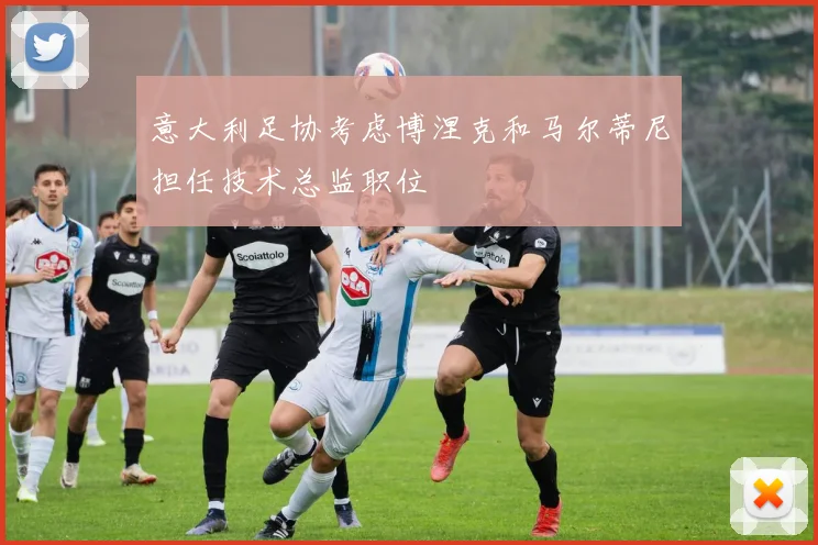 意大利足协考虑博涅克和马尔蒂尼担任技术总监职位